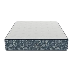 Bladen Medium Mattress