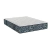 Bladen Ultra Firm Mattress