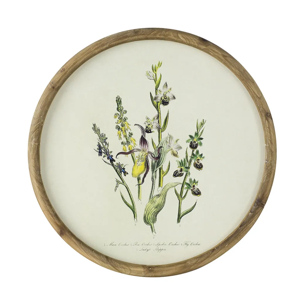 Flora Round Prints (Set of 4)