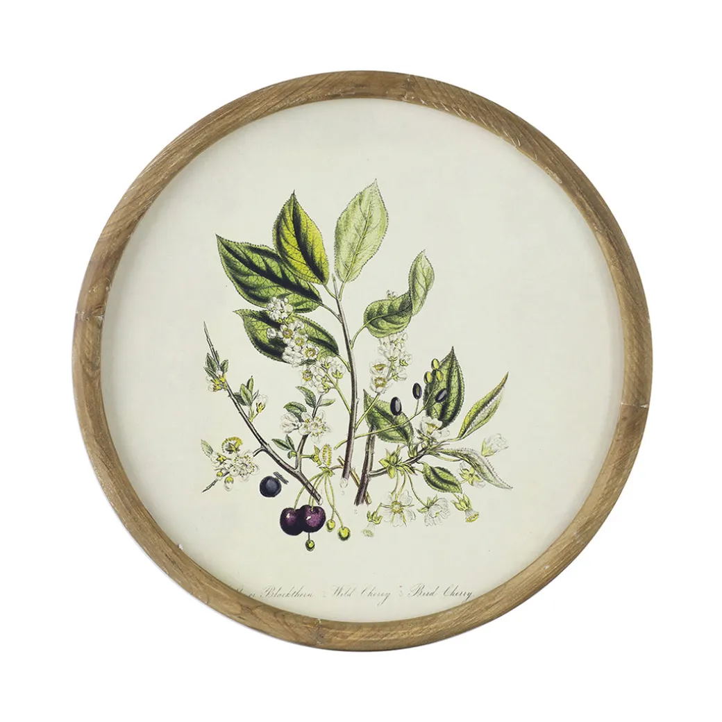 Flora Round Prints (Set of 4)
