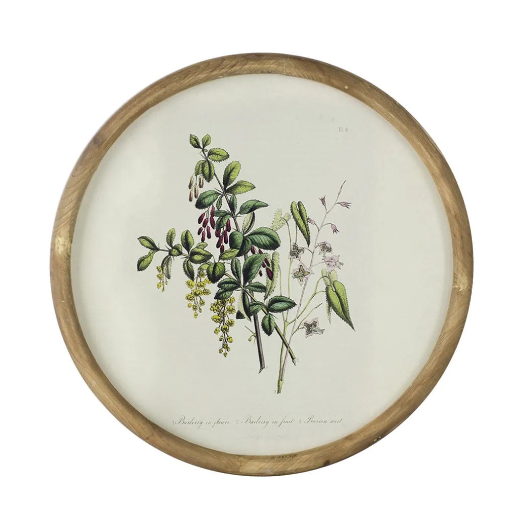 Flora Round Prints (Set of 4)