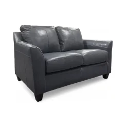Josh Leather Loveseat