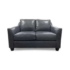 Josh Leather Loveseat