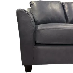 Josh Leather Loveseat