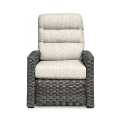 Sadie Outdoor Swivel Glider Recliner
