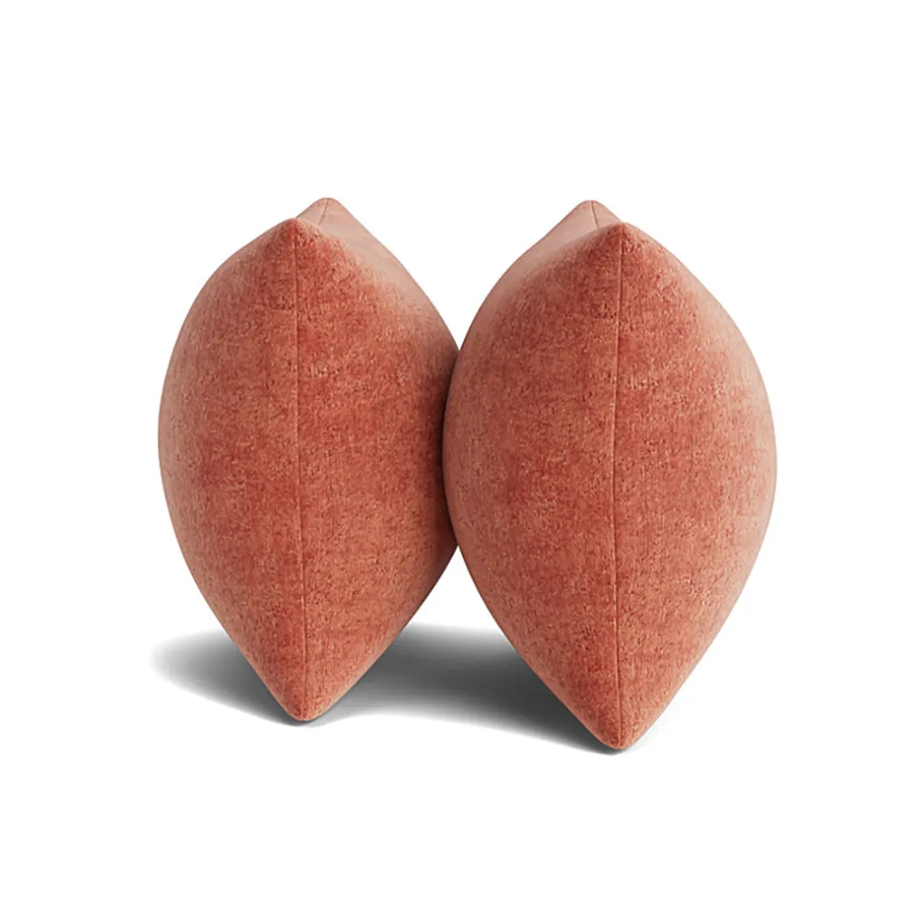 Terra Rose Accent Pillows (Set of 2)